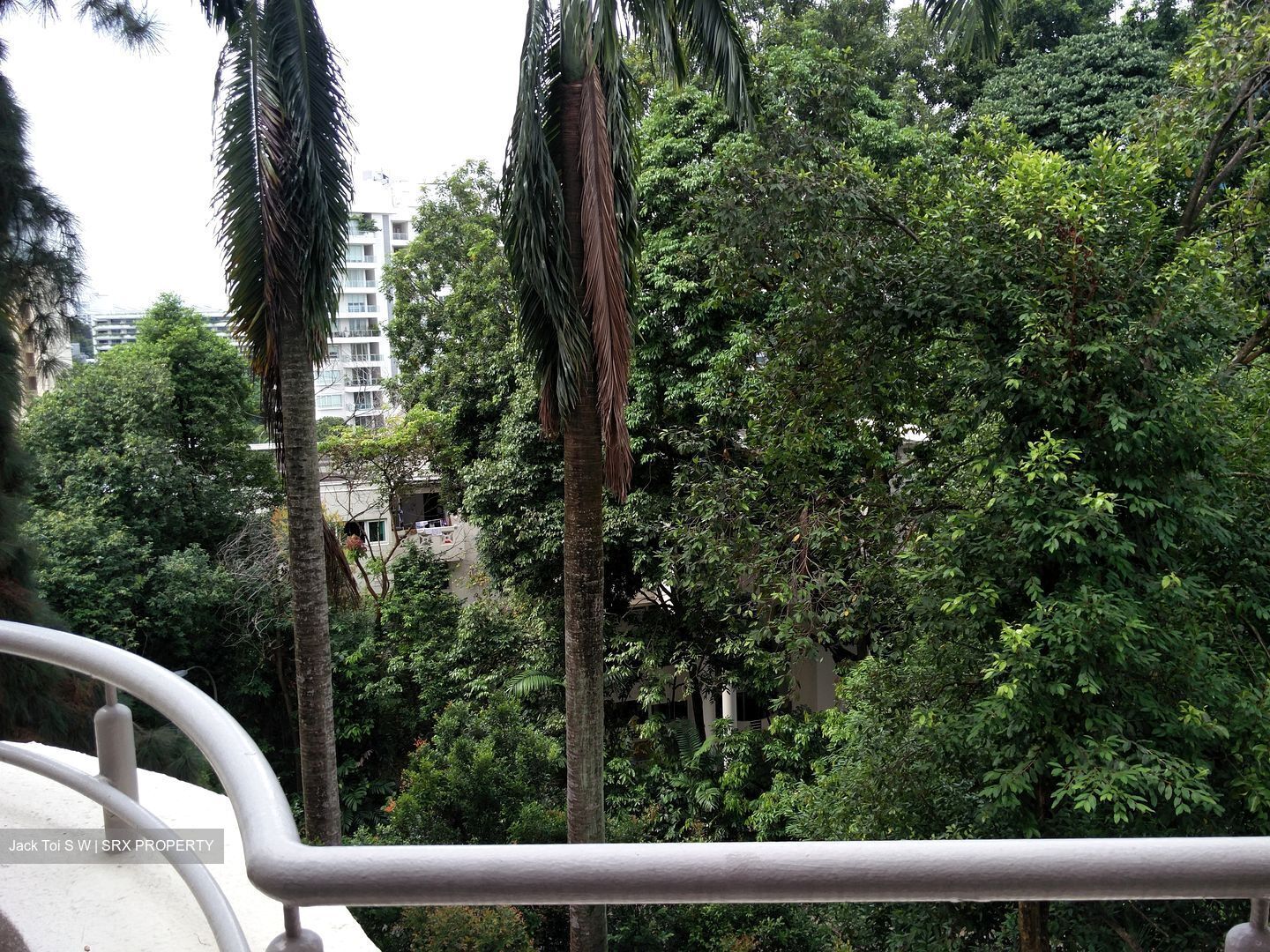 The Balmoral (D10), Condominium #371115291